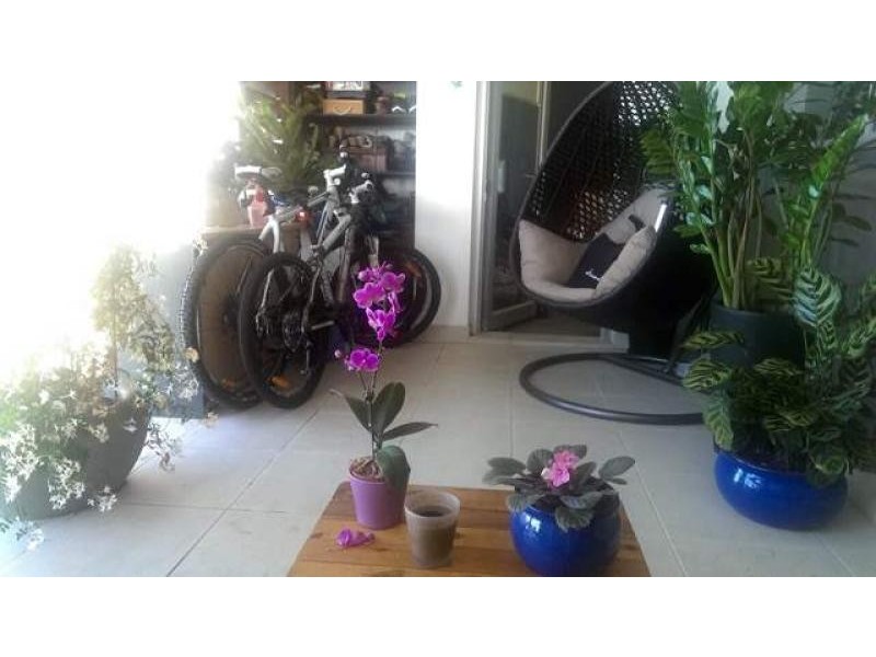 45/4 Alexandra  Drive, Camperdown NSW 2050