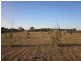 lot 14 Pearle  Place BOWEN 4805, Bowen QLD 4805