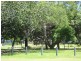 43 Horseshoe Bay Road, Bowen QLD 4805