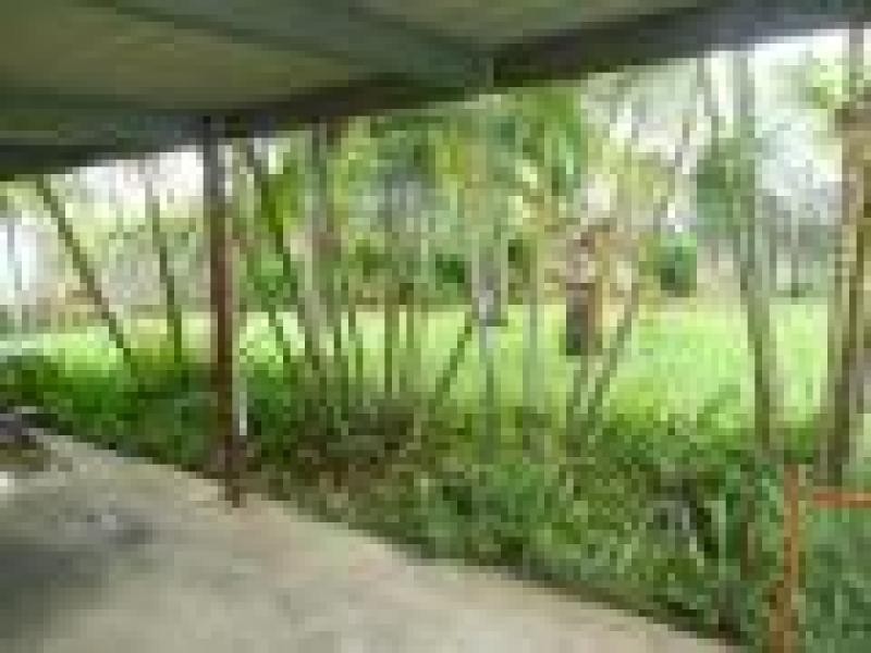 28 Conway Street, Collinsville QLD 4804