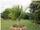717 Bootooloo Road BOWEN 4805, Bowen QLD 4805