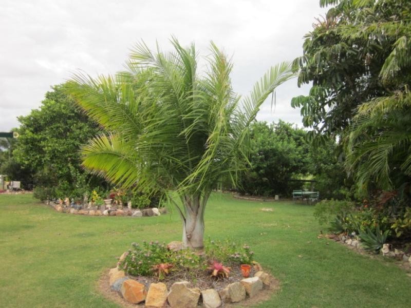 717 Bootooloo Road BOWEN 4805, Bowen QLD 4805