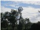 271 Euri Creek East Road, Bowen QLD 4805
