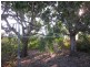123 Esplanade, Bowen QLD 4805