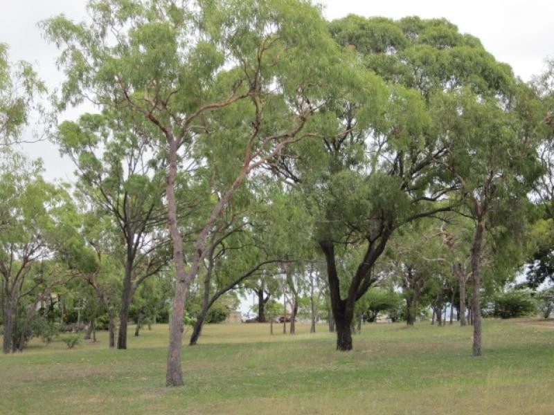 L2 Pearle Place, Bowen QLD 4805
