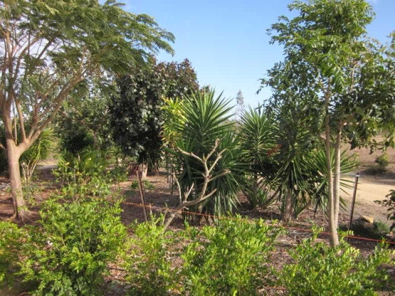L15 Bootooloo Road, Bowen QLD 4805