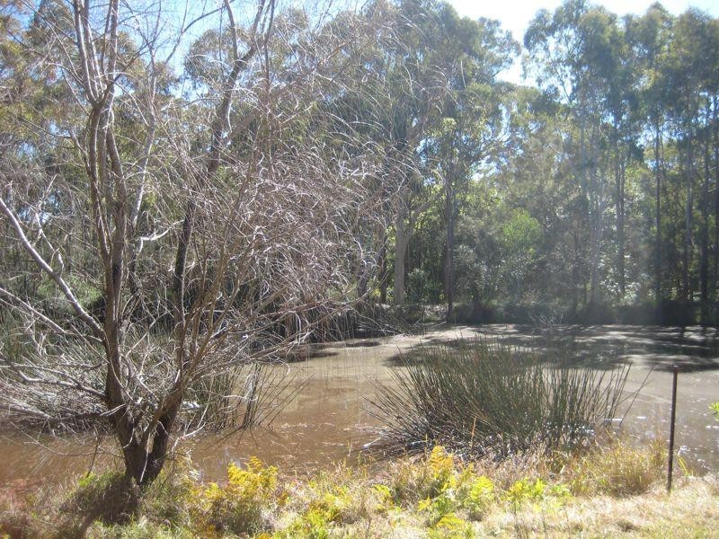 43A Rutleys Road, Wyee Point NSW 2259