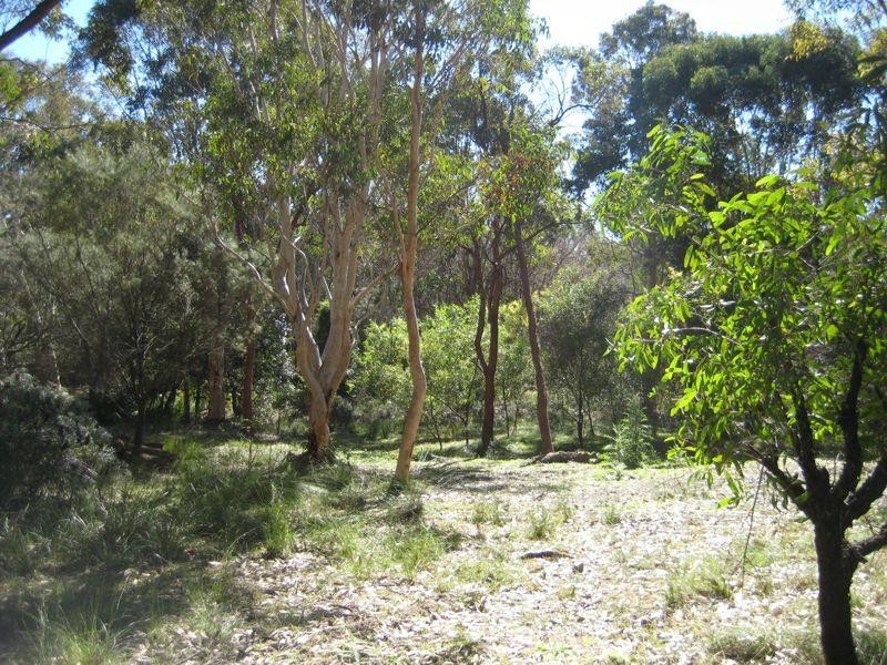 43A Rutleys Road, Wyee Point NSW 2259