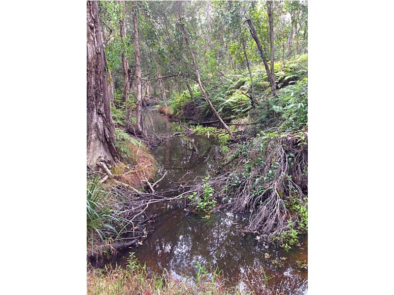 171 BUNKER Road, Victoria Point QLD 4165