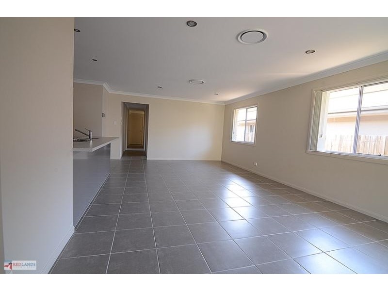 32 RILEY PETER Place, Cleveland QLD 4163