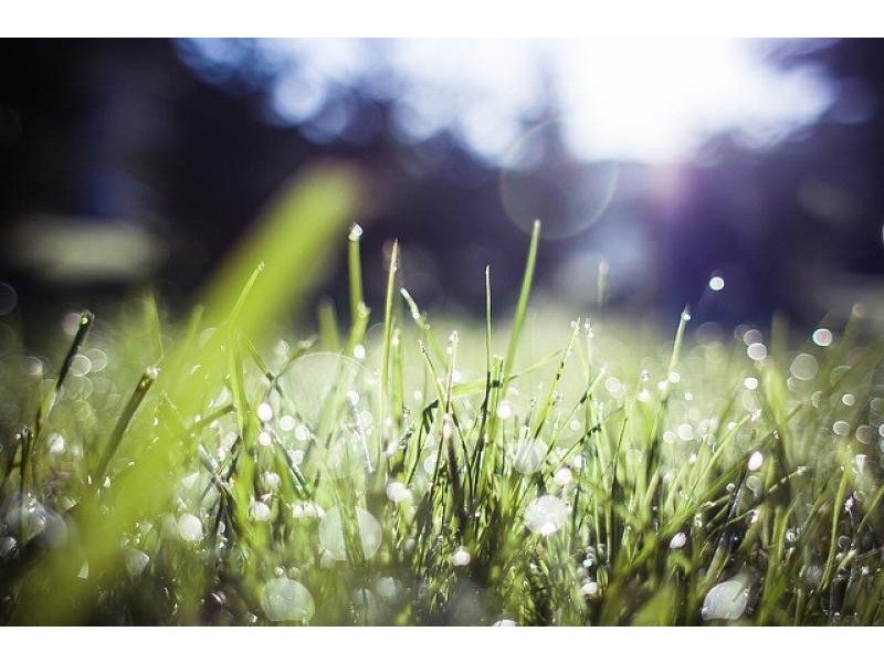 Redland Bay QLD 4165