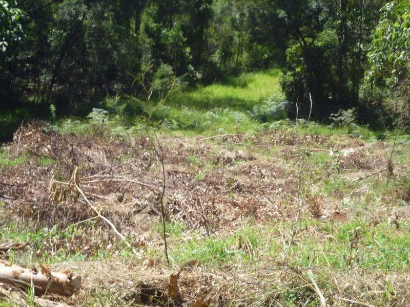 9 OAKWOOD Way, Catalina NSW 2536