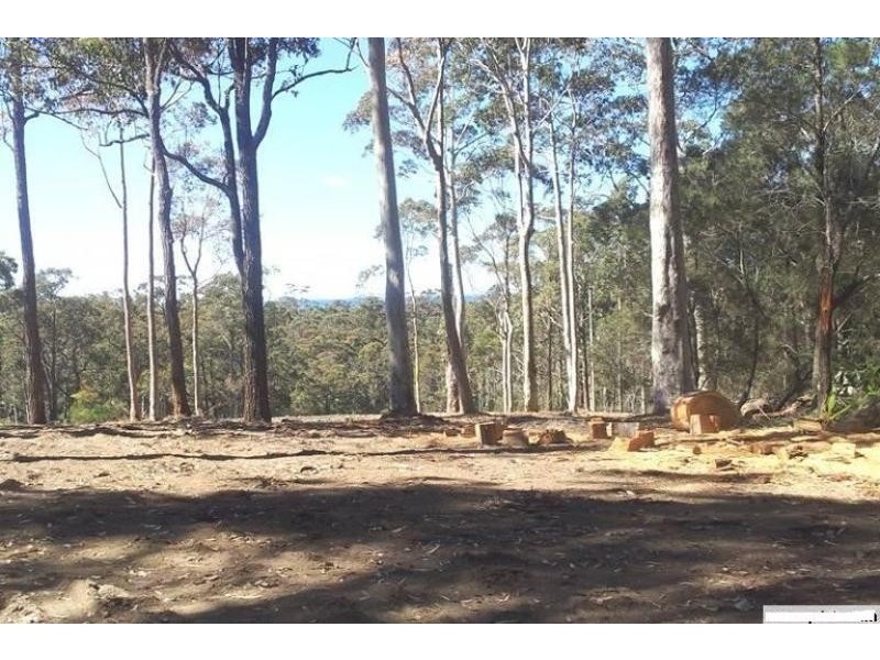 lot 3 PHYLLIS PRICE  Drive, Moruya NSW 2537