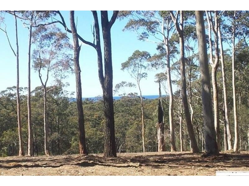 lot 3 PHYLLIS PRICE  Drive, Moruya NSW 2537