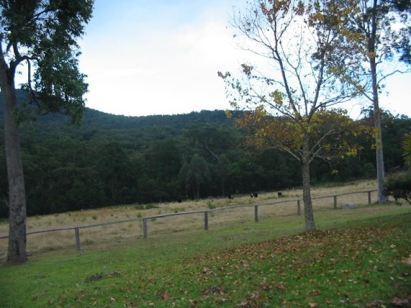 L54 ALLARDS LANE, Nelligen NSW 2536