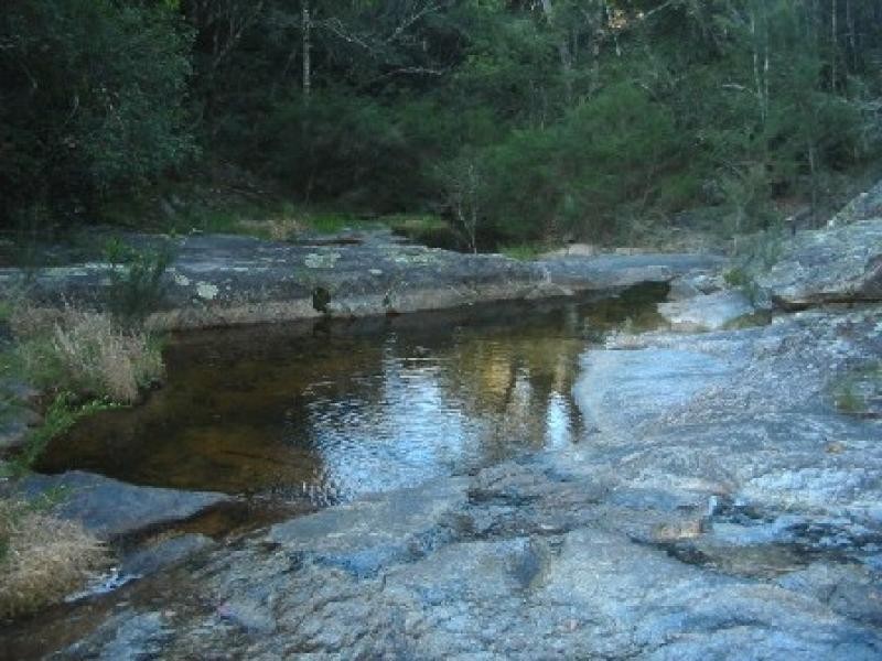 L54 ALLARDS LANE, Nelligen NSW 2536