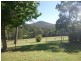 L54 ALLARDS LANE, Nelligen NSW 2536