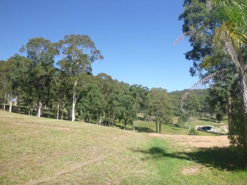 L54 ALLARDS LANE, Nelligen NSW 2536