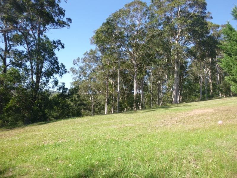 L54 ALLARDS LANE, Nelligen NSW 2536