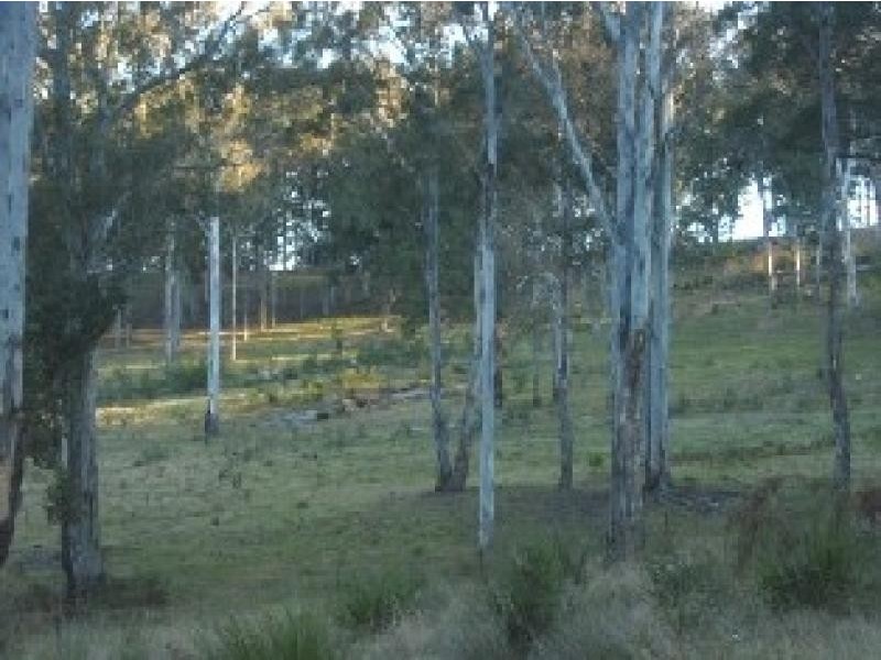 L54 ALLARDS LANE, Nelligen NSW 2536