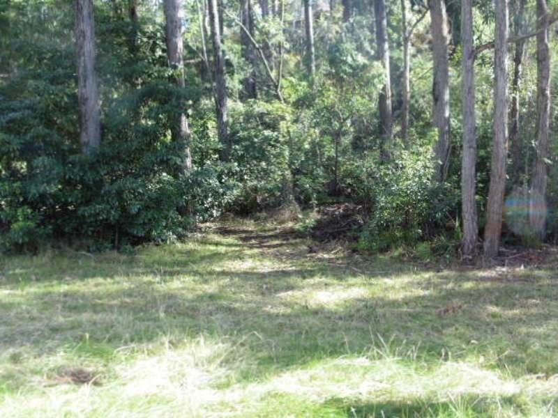 121 Country Club  Drive, Catalina NSW 2536