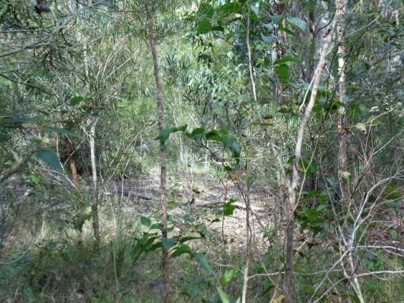 46 Carramar Street, Lilli Pilli NSW 2536