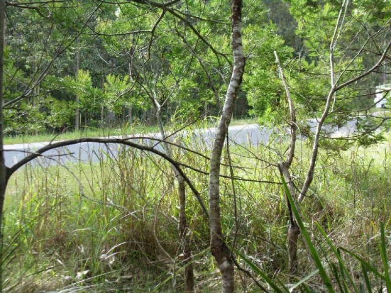 46 Carramar Street, Lilli Pilli NSW 2536