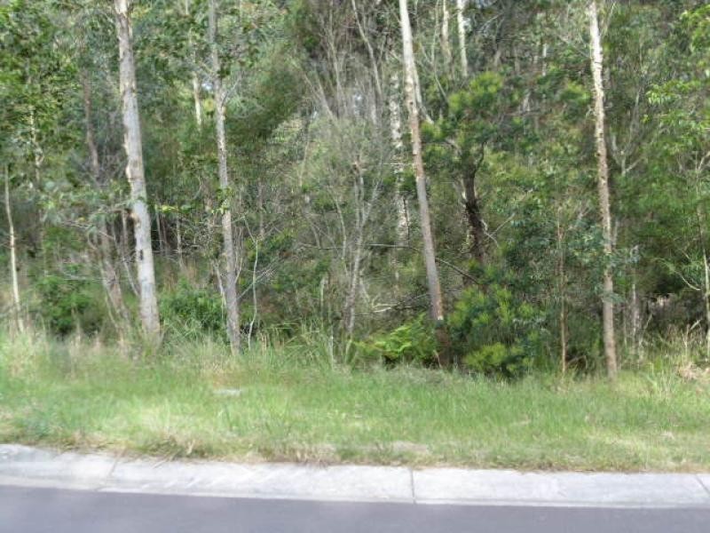 46 Carramar Street, Lilli Pilli NSW 2536