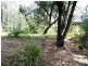 49 Country Club Drive, Catalina NSW 2536