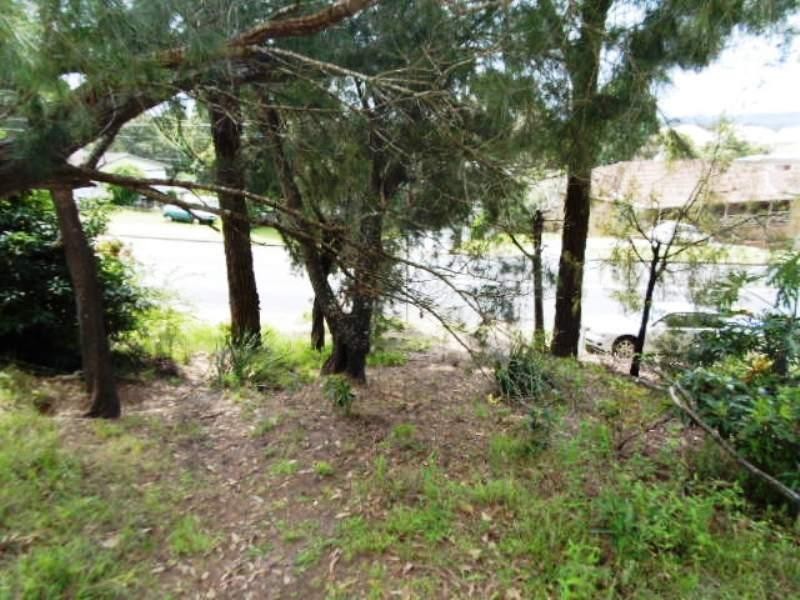 49 Country Club Drive, Catalina NSW 2536