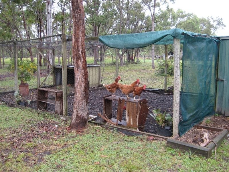 87 Condor Drive SUNSHINE ACRES 4655, Sunshine Acres QLD 4655