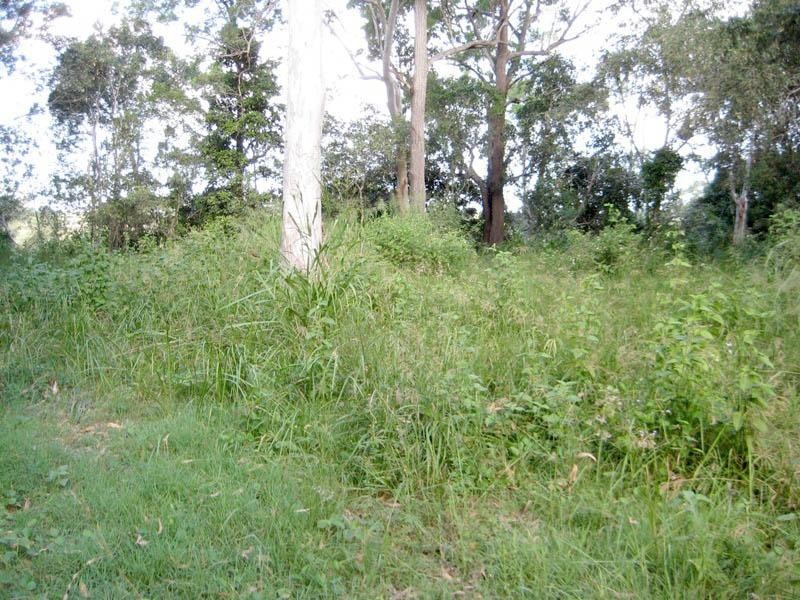24 Rankin Street, Howard QLD 4659