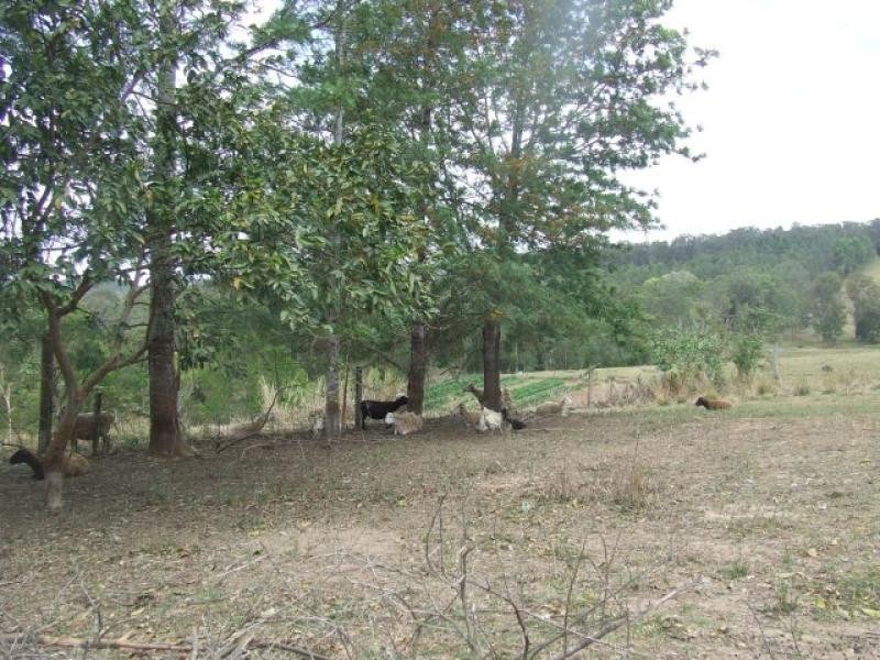 274 Neusavale  Road WOLVI 4570, Wolvi QLD 4570