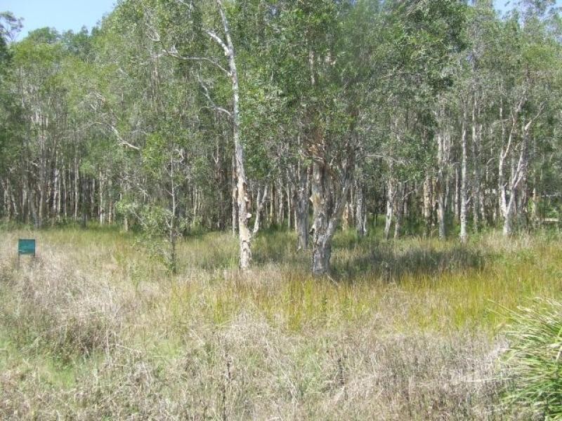 164 Carriage Way COOROIBAH 4565, Cooroibah QLD 4565