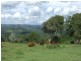 303 Tablelands  Road, Cooran QLD 4569