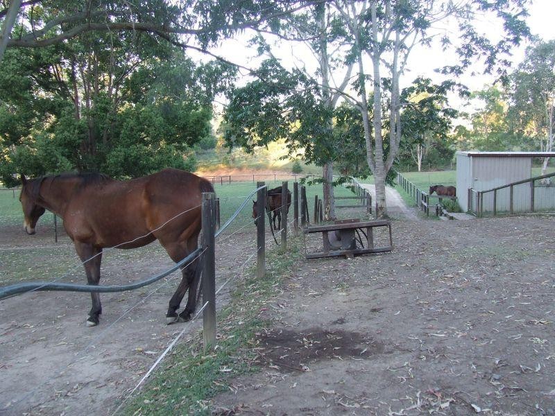 782 Cedar Pocket  Road, Cedar Pocket QLD 4570