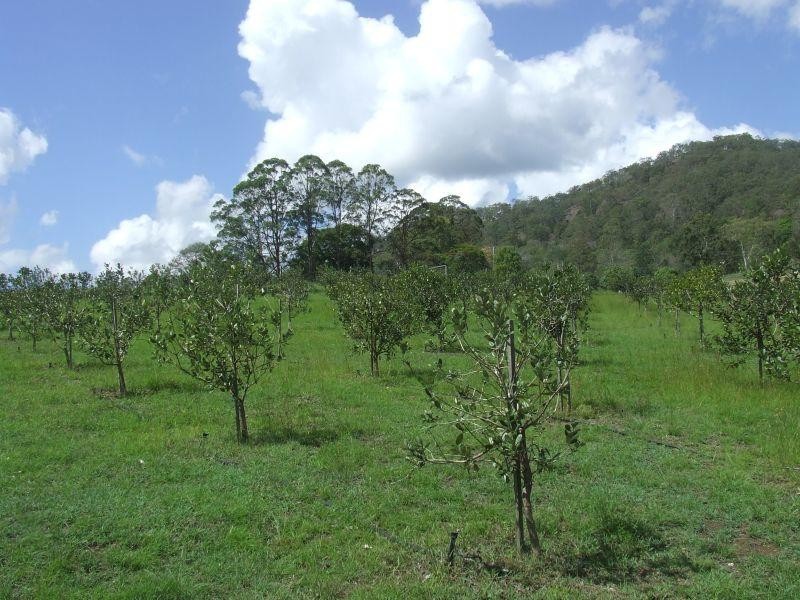 782 Cedar Pocket  Road, Cedar Pocket QLD 4570