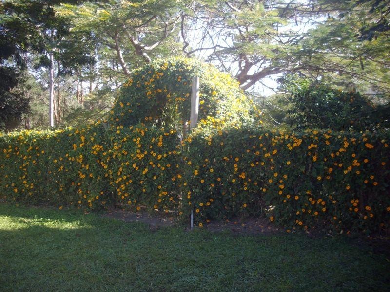 782 Cedar Pocket  Road, Cedar Pocket QLD 4570