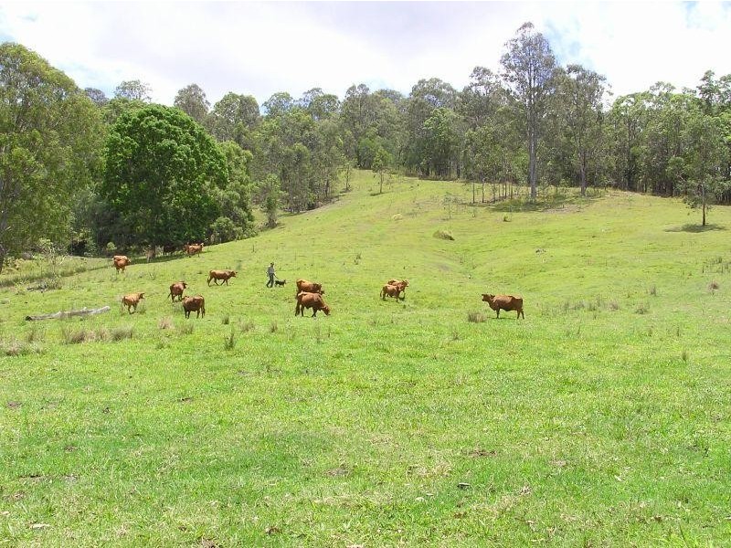 Wolvi QLD 4570
