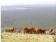 Wolvi QLD 4570