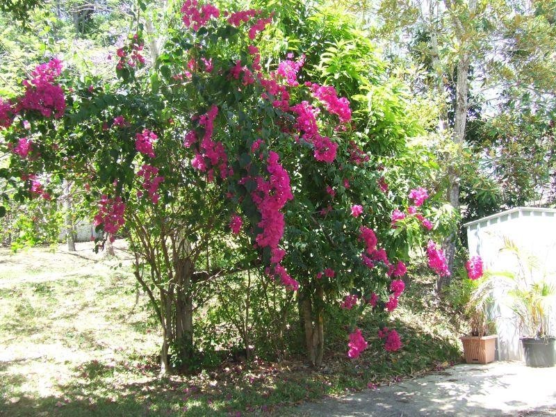 7 Bowman Street, Kin Kin QLD 4571