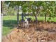 1165 Kin Kin Road, Wolvi QLD 4570