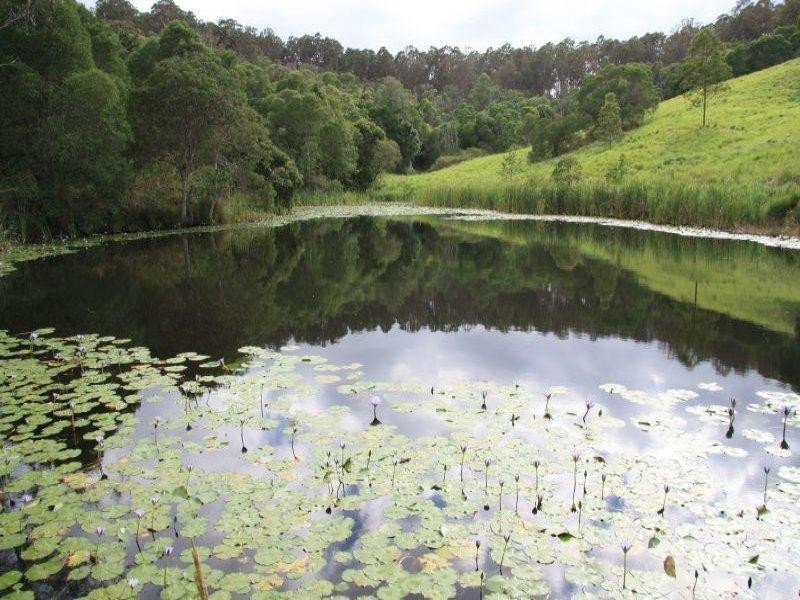 937 Sandy Creek Road, Veteran QLD 4570