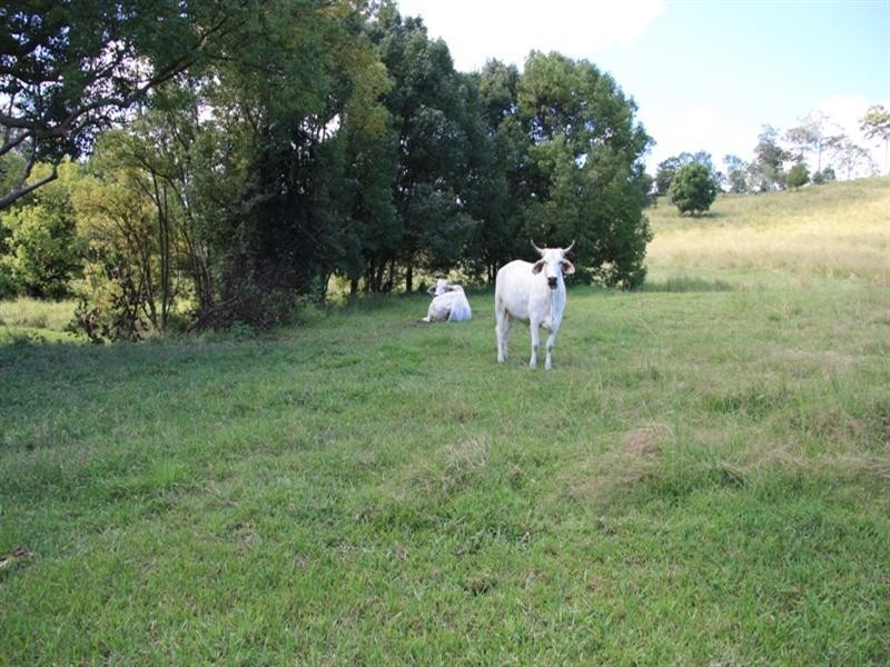 121 Hood Road, Veteran QLD 4570