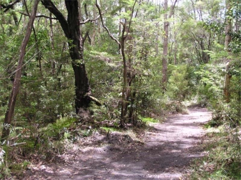 32 Kildeys Road, Cootharaba QLD 4565