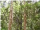 32 Kildeys Road, Cootharaba QLD 4565