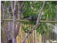32 Kildeys Road, Cootharaba QLD 4565