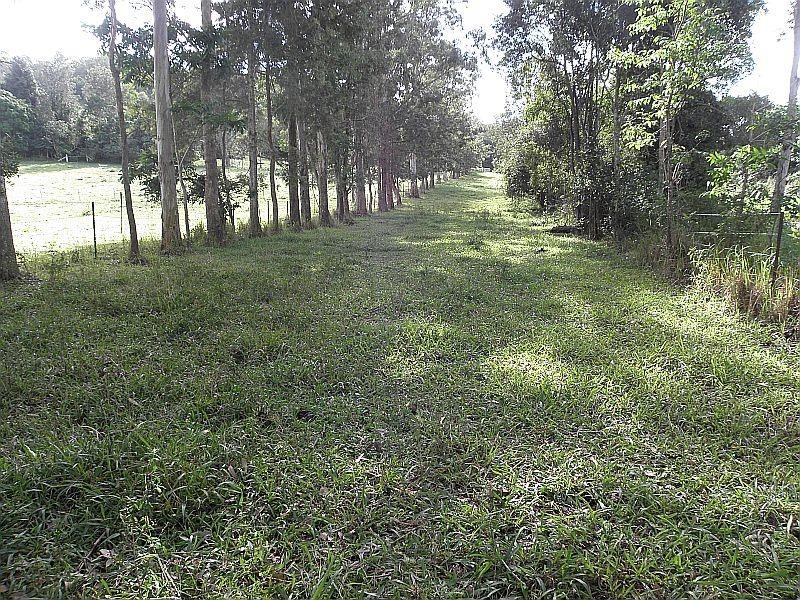 545 Sister Tree Creek Road, Kin Kin QLD 4571