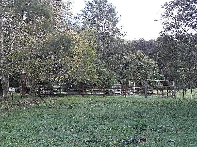 545 Sister Tree Creek Road, Kin Kin QLD 4571