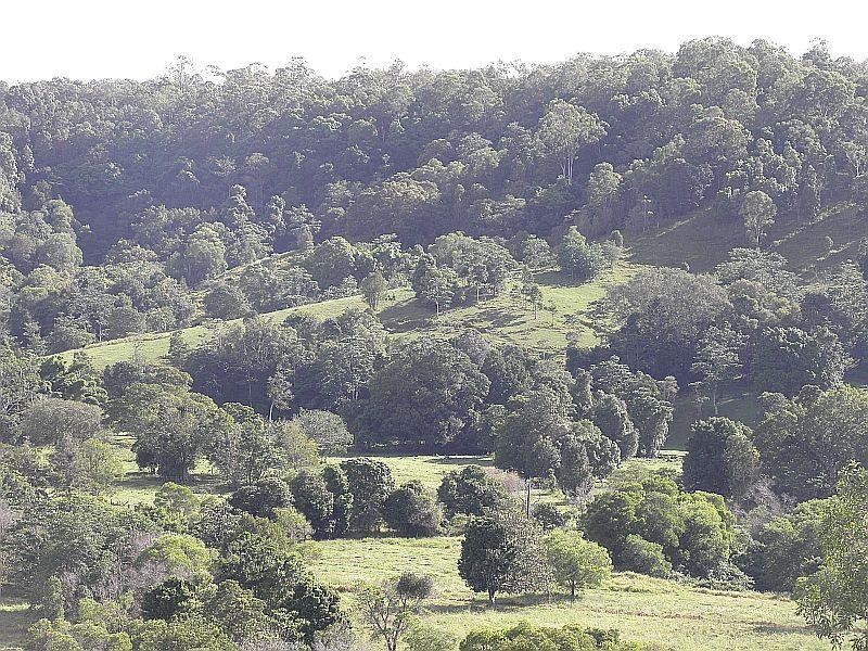 545 Sister Tree Creek Road, Kin Kin QLD 4571